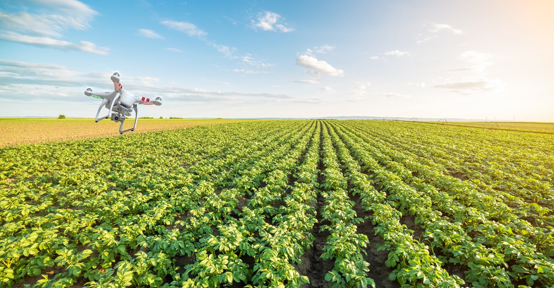 1486139127-drone-aardappelen-quadcopter-tellen-snel-efficient-2017.jpg