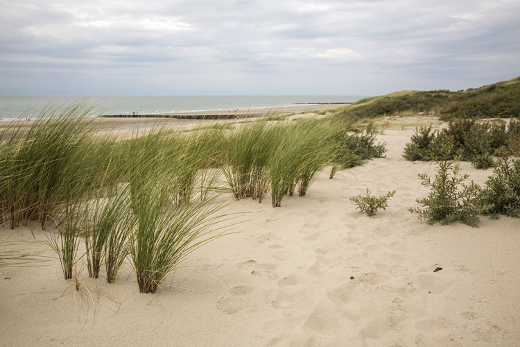 Het strand van Burgh-Haamstede gefilmd in 4K